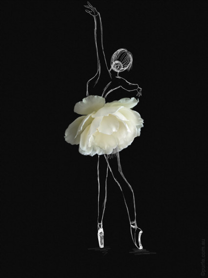 fashion sketch of ballerina with white rose flower as a ballet skirt